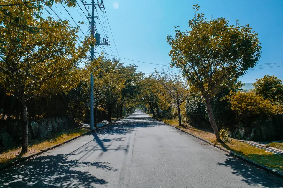 mold removal Grand Ronde